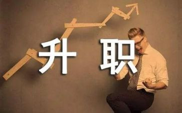晋级专业技术工作总结5篇