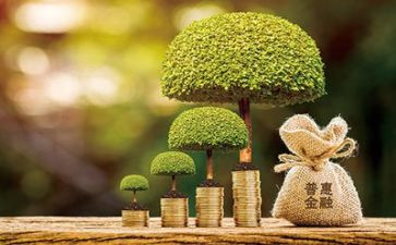 薪金融专业实习报告最新8篇