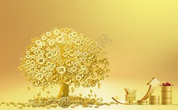 金融专业实习报告通用8篇