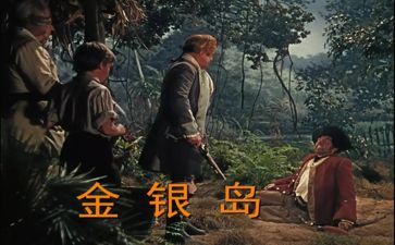 金银岛读书心得300字8篇
