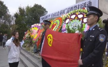 烈士代祭扫活动方案8篇