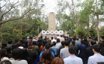线上清明祭扫活动总结8篇