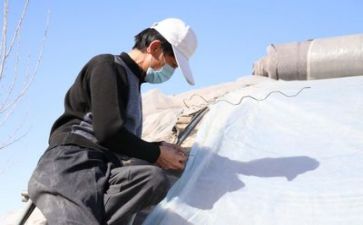2024年技术工作计划7篇