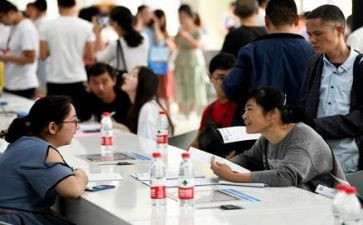 2024就业情况调查报告通用5篇