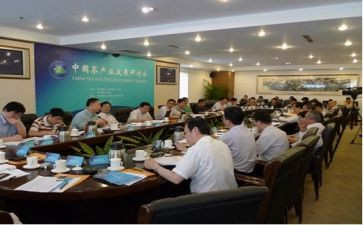 2024年副局长述职报告5篇