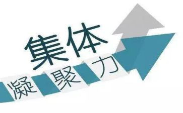 提上团队凝聚力心得体会8篇