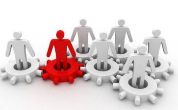 团队凝聚力心得体会7篇
