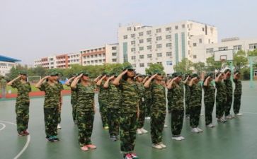 军训心得体会300多字7篇