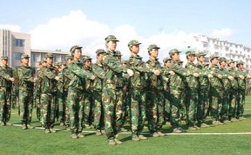 军训14天心得体会8篇