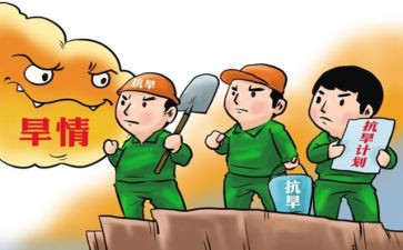村防汛抗旱工作总结7篇