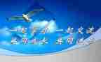教师小学课改心得体会6篇