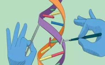 科学实验的作文最新5篇