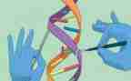 科学实验的作文最新5篇