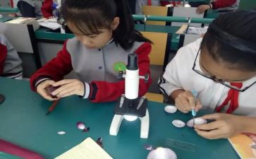 科学课工作总结参考5篇