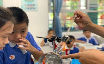 科学课期末总结8篇