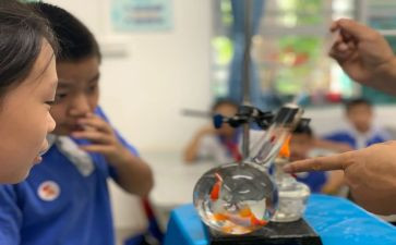 小学科学课学期工作计划7篇