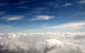 空中的鸟教学反思模板6篇