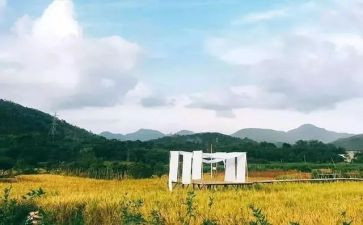 文化苦旅读后感8篇