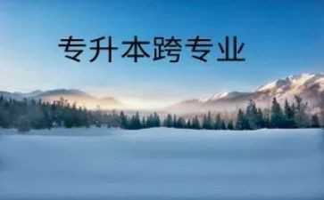 跨专业总结心得5篇