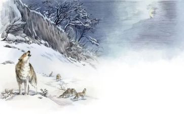 《狼王梦》读后感优秀作文7篇