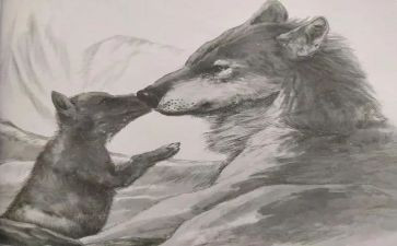 《狼王梦》读后感7篇