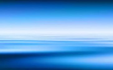 《蓝色的海豚岛》的读后感5篇