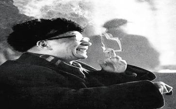 老舍的家的读后感5篇
