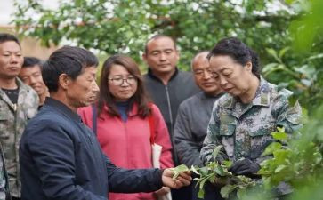 向李保国心得体会7篇