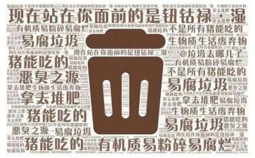 垃圾进校园活动总结推荐8篇