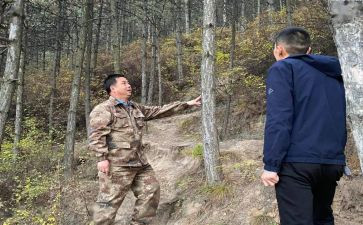 园林局工作总结5篇