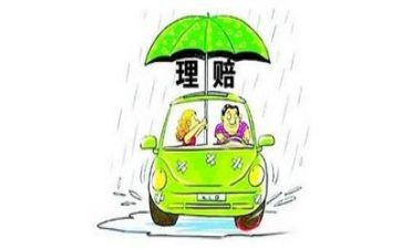 2024保险理赔工作总结模板8篇