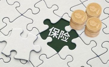 2024保险理赔工作总结7篇