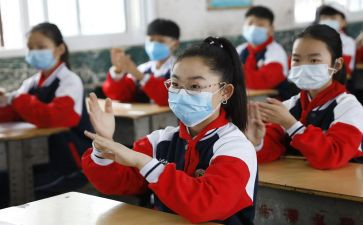 小学六年级科学上册教学总结7篇