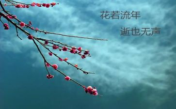 2024年物流年终总结通用5篇