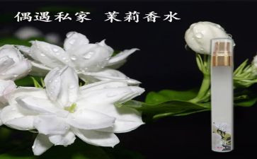 留香的作文优质5篇