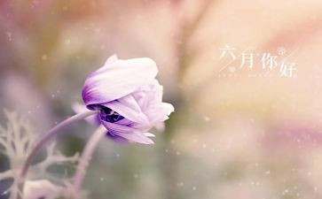 幼儿园六月保育工作计划7篇