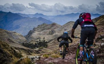 《细菌历险记》读后感参考5篇