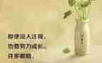 写励志的作文推荐6篇