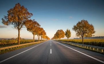 警示片《路》的心得体会6篇
