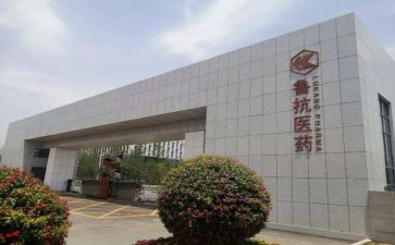 鲁抗培训总结7篇