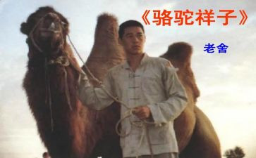 骆驼的读后感6篇