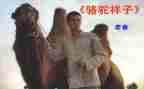 骆驼的读后感6篇