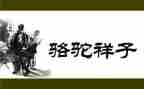 骆驼的读后感参考7篇