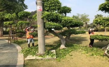 绿化园林的工作计划8篇