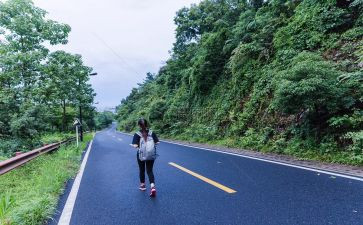 幼儿旅行活动方案6篇