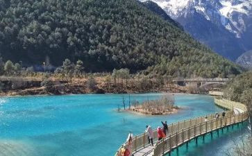 旅游业的调研报告6篇