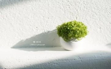 傲慢读后感6篇