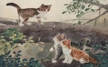 朝花夕拾猫和狗读后感优质5篇