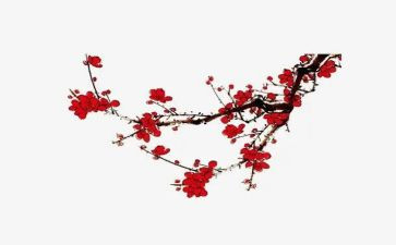《梅花》教案模板8篇
