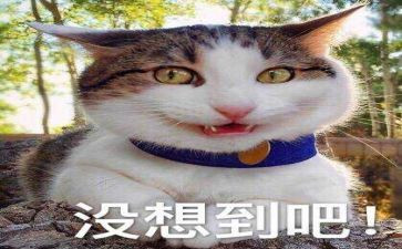 作文没想到真没想到600字7篇